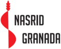 Nasrid Granada.png