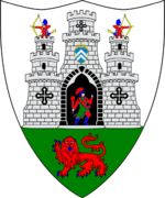 Wappen von Kilkenny City.png