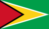 Flagge Guyana.png