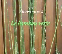 Restaurant Le bambou verte.jpg