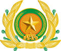 Vietnam People's Public Security insignia.jpg
